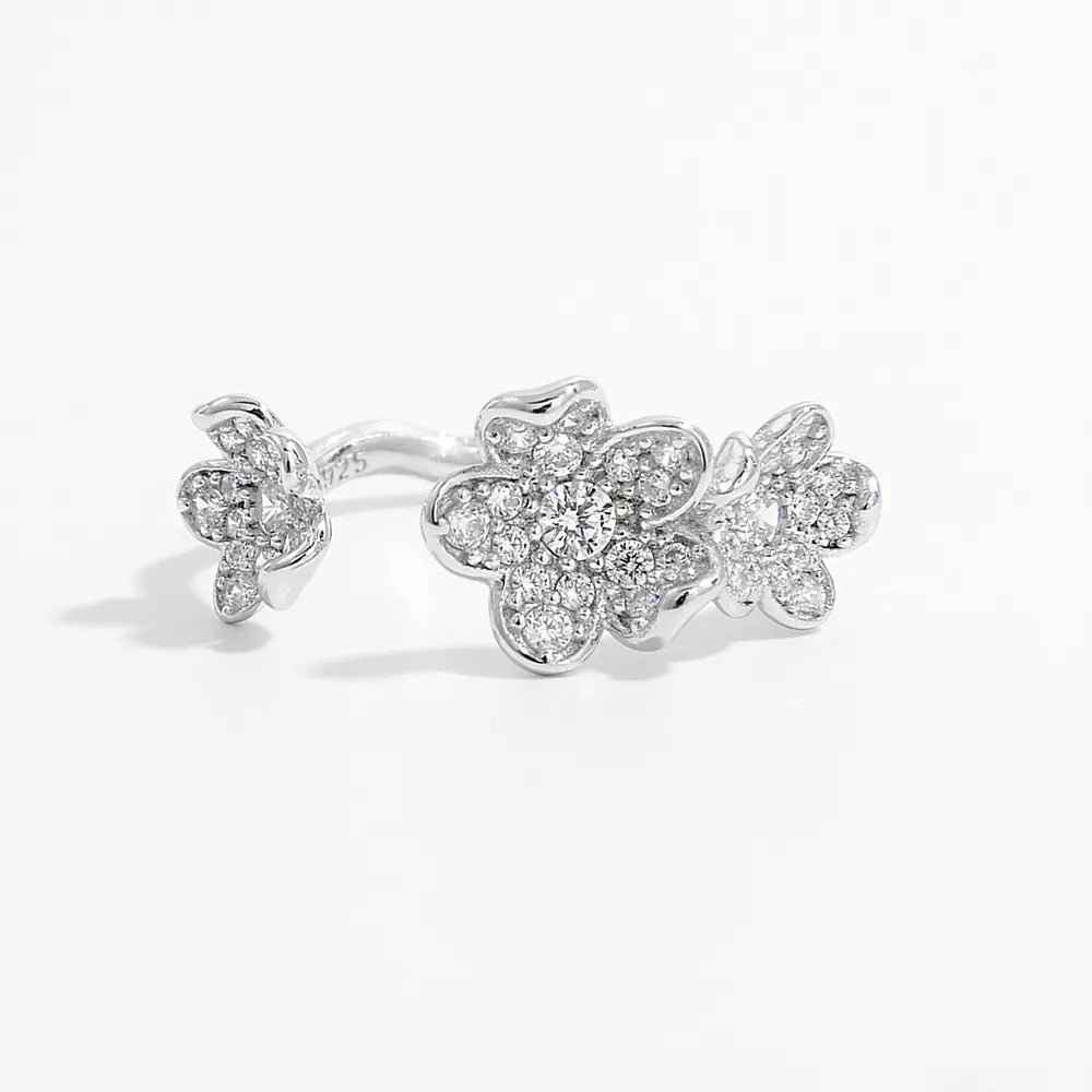 The Clover Cluster Open Ring