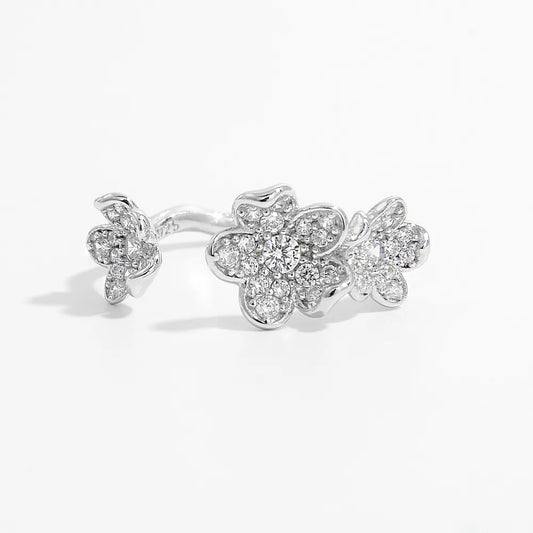 The Clover Cluster Open Ring